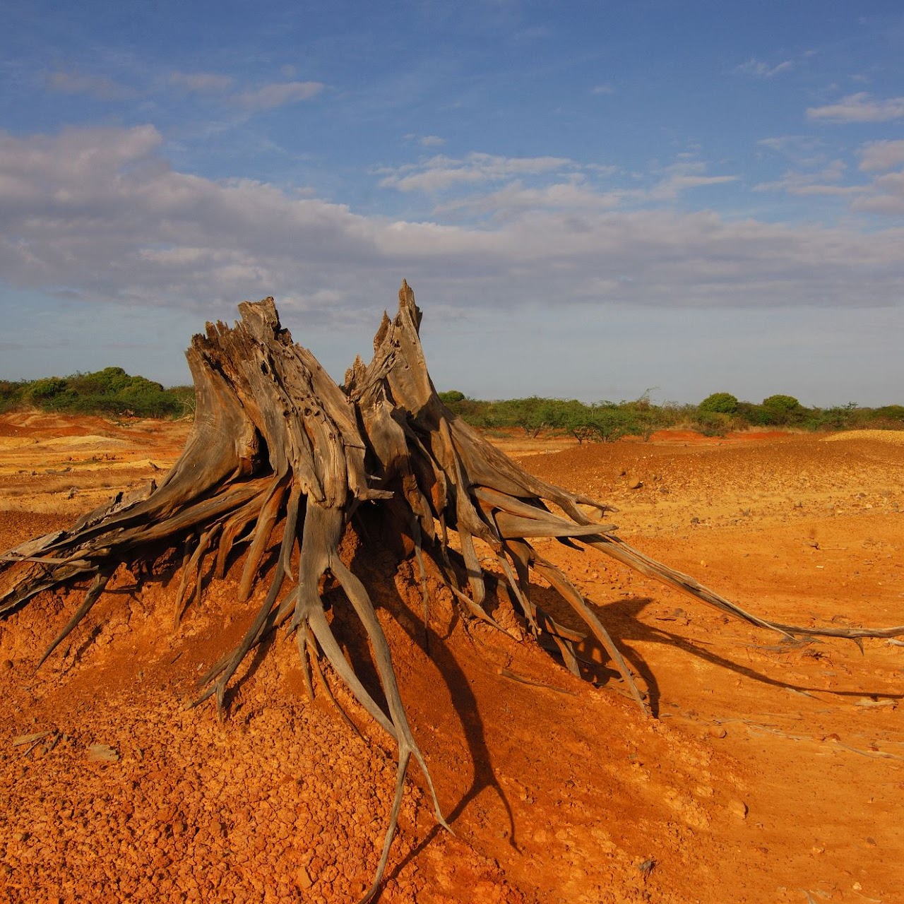 Parque Nacional Sarigua