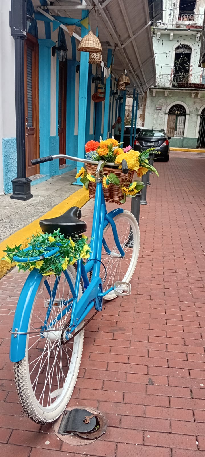 Bicicleta con flores en calle colonial