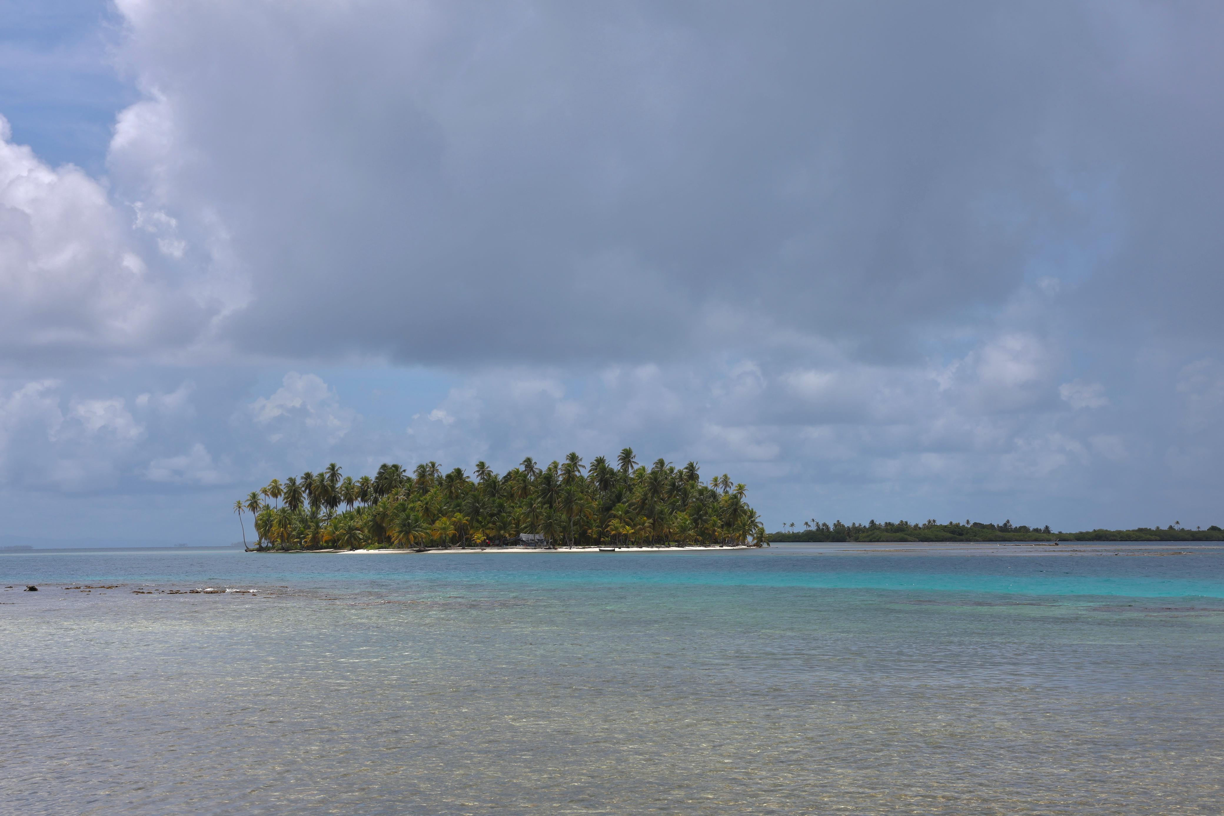 Isla de palmeras en el Caribe