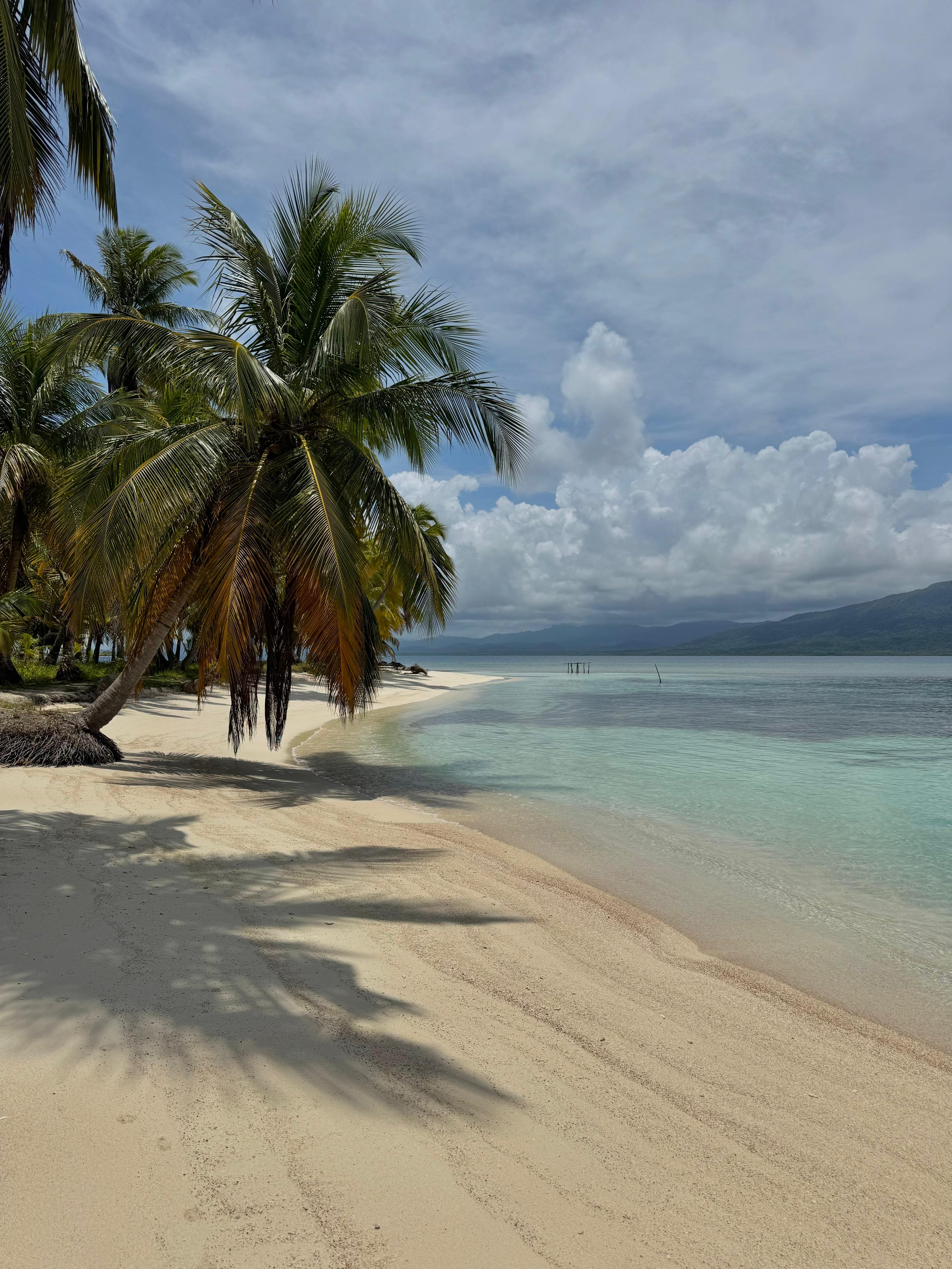 Playa de palmeras y agua turquesa
