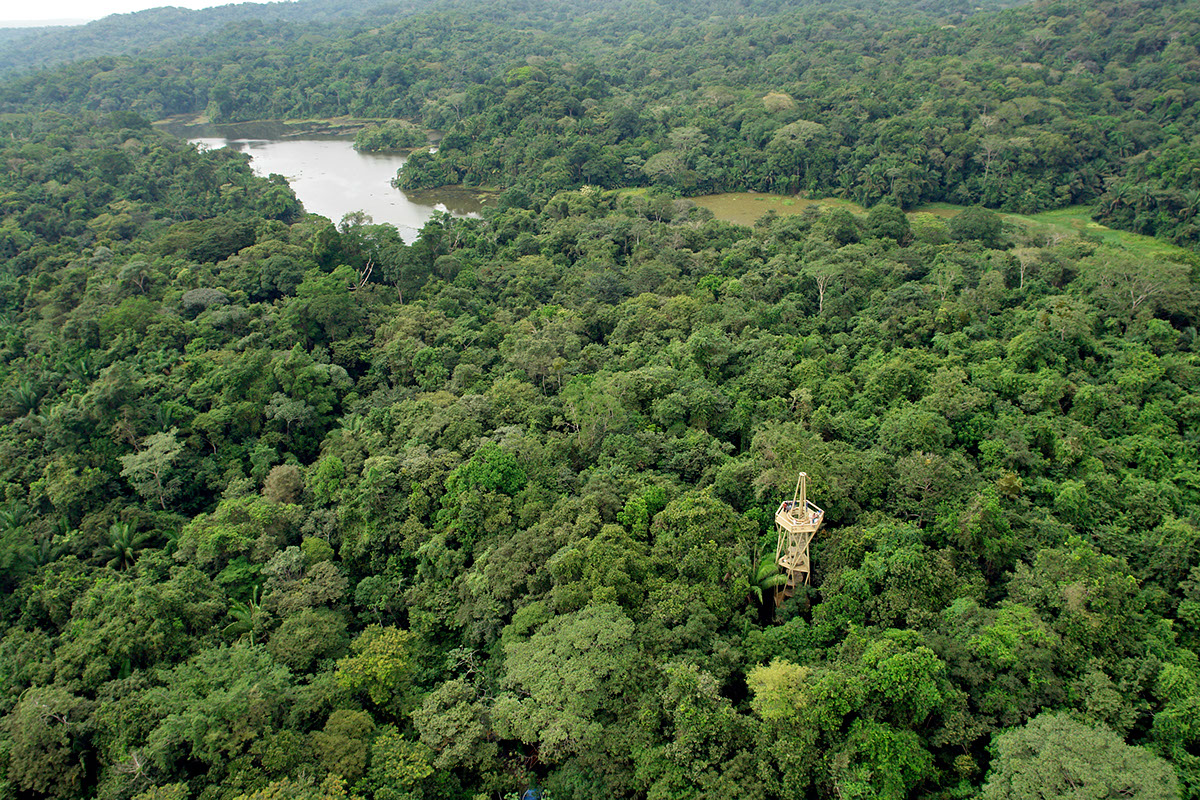 Rainforest Discovery Center (Gamboa)